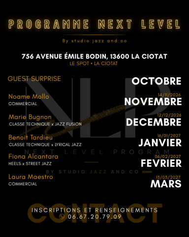 NEXT LEVEL PROGRAMME